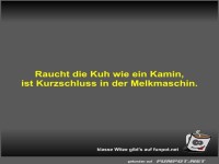 Raucht die Kuh wie ein Kamin