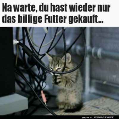 Das-wirst-du-b&uuml;&szlig;en.jpg von Ida