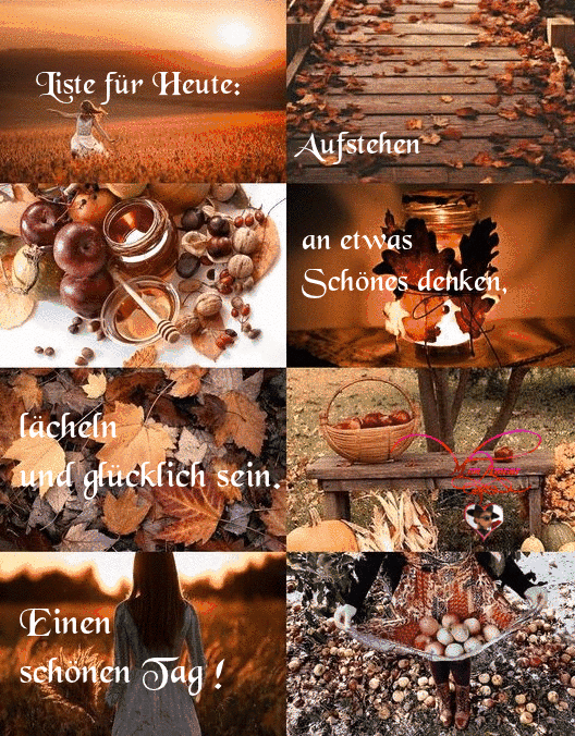 Aufgaben-fr-Heute.gif auf www.funpot.net
