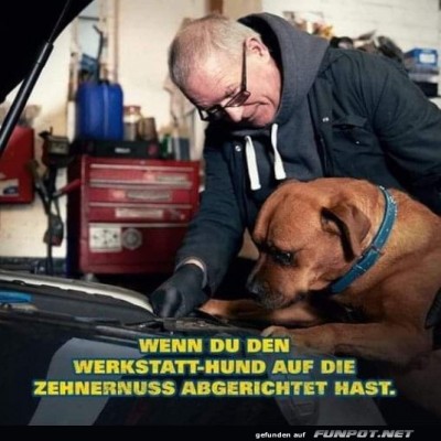 Tierischer-Hilfsarbeiter.jpg von Malou