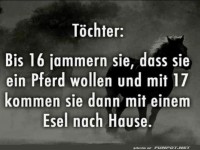 Töchter Jammern