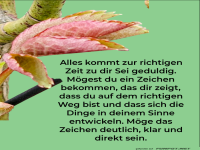 alles kommt zur richtigen