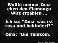 Flamongo Witz und Oma's schlagfertige Antwort