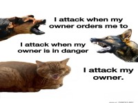 Tierschutzinstinkte im Vergleich