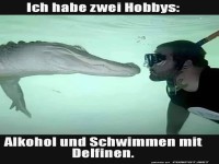 Wenn der 'Delfin' zu viel getrunken hat