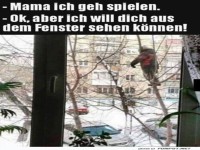 Baumkletterprofi in Sichtweite!