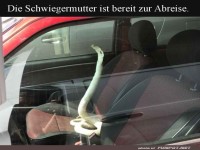 Keine Angst vor der Mitfahrgelegenheit!