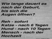Augen �ffnen: Der Hochzeitsmoment