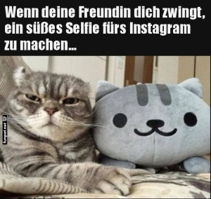 Instagram-Katastrophe-mit-Mieze-und-Pl�sch!.jpg auf www.funpot.net