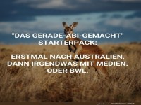 Abenteuerlustiger Abi-Kangaroo-Spa�