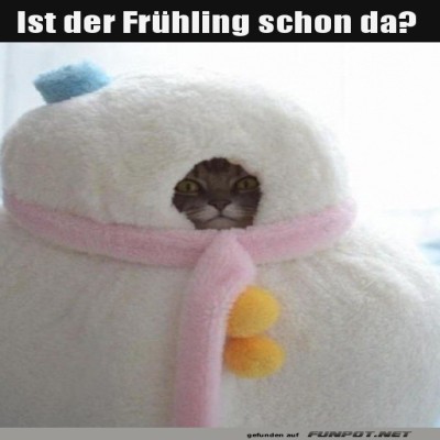 Wo-ist-der-Frühling?.jpg von Schwesterchen