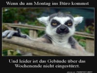 Leider ist das B�ro nicht eingest�rzt