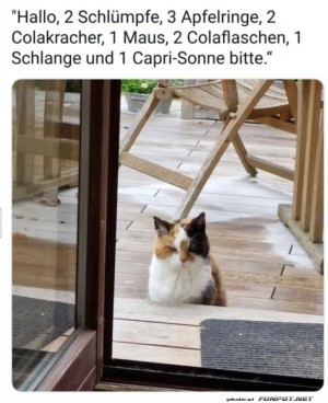 Katzensnack-Bestellung-mal-anders!.jpg auf www.funpot.net