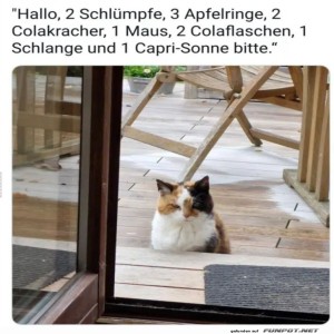 Katzensnack-Bestellung-mal-anders!.jpg von Nele68
