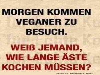 Vegane Kochkunst f�r Anf�nger
