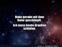 Wenn die Katze das Kommando �bernimmt