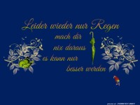 Leider wieder nur Regen