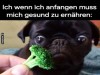 weiter