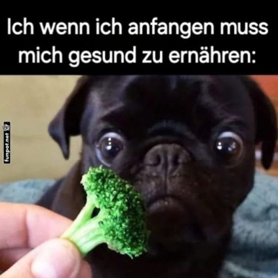 Brokkoli-Dilemma.jpg von Gabriel