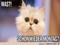 Montag