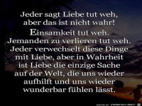 Jeder sagt Liebe tut weh