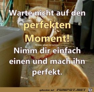 perfektem-Moment.jpg auf www.funpot.net