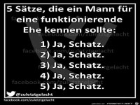 5 Saetze die ein Mann...