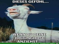 Dieses Gef�hl