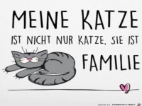 Meine Katze