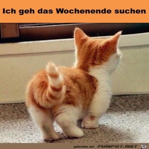 Begr&uuml;&szlig;ungsbild