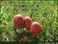 mit komplimenten