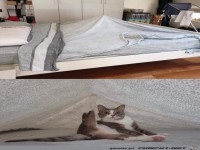 Das h�tte man nicht erwartet