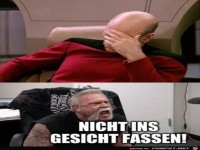 Pfoten weg vom Gesicht
