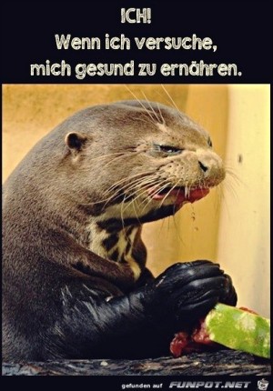 Wenn-ich-mich-gesund-ernhre.jpg auf www.funpot.net