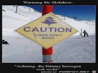 B�ume weichen nicht aus