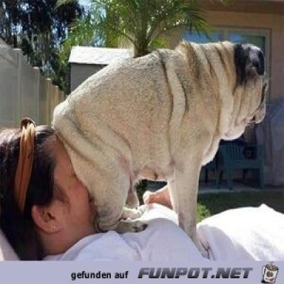 Nase-voll.jpg von Supersusi