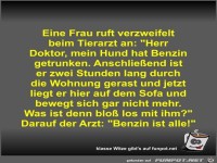 Eine Frau ruft verzweifelt beim Tierarzt an