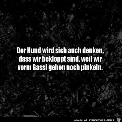 Hund-ist-sicherlich-verwirrt.jpg von Karan