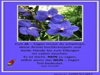 Zum JA oder NEIN sagen