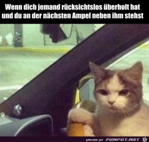 Dieser-Blick.jpg auf www.funpot.net