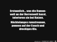 Katzen d�rfen alles