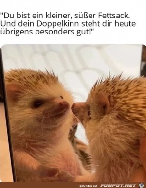 Kleiner-se-Fettsack.jpg auf www.funpot.net