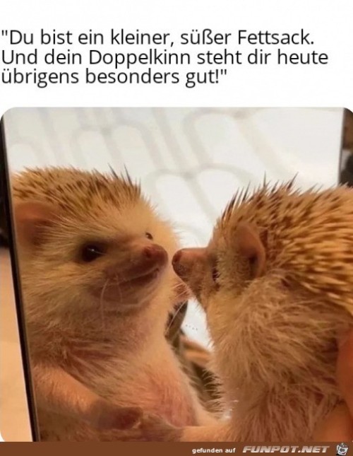 Kleiner-süße-Fettsack.jpg auf www.funpot.net