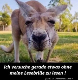 Lesen-ohne-Brille.jpg auf www.funpot.net