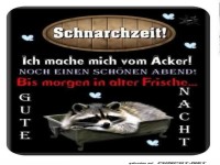 Zeit fr Schlaf mit niedlichem Waschbr