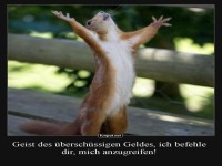 Eichhörnchen hebt die Arme in den Himmel