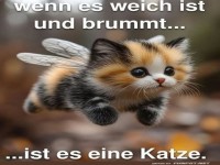 Fliegende Katzen ? die neue Bienenart