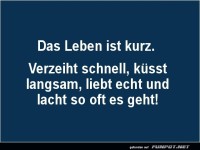 Kurzlebiger Lebensratgeber