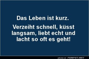 Kurzlebiger-Lebensratgeber.jpg auf www.funpot.net