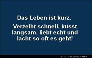 herz-Bild: Kurzlebiger Lebensratgeber